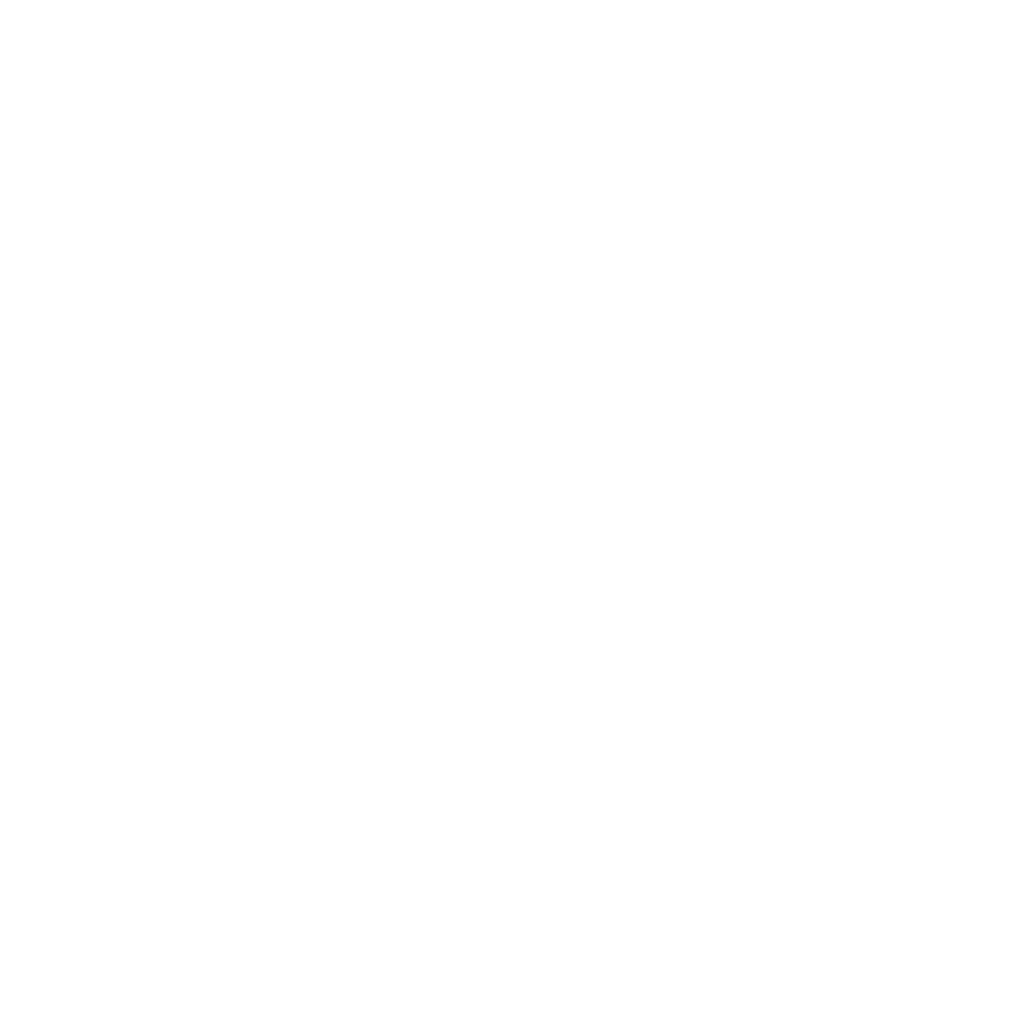 nelson-felisberto-osteopata-white